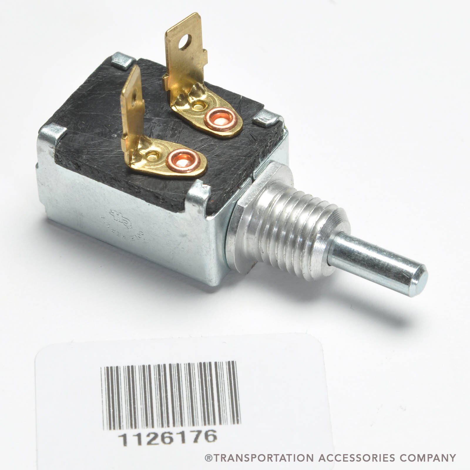 トランジットTRANSIT NEUTRAL BIRD terminal トランジットTRANSIT NEUTRAL BIRD terminal How To Get 2023 Ford