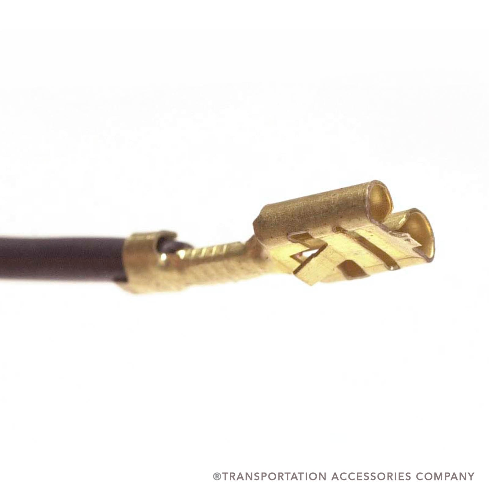 CL-1 Modular Plug Terminal w/Wire