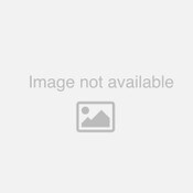 100949-000 First Light Illuminated Universal Front Mount Air Stop Arm